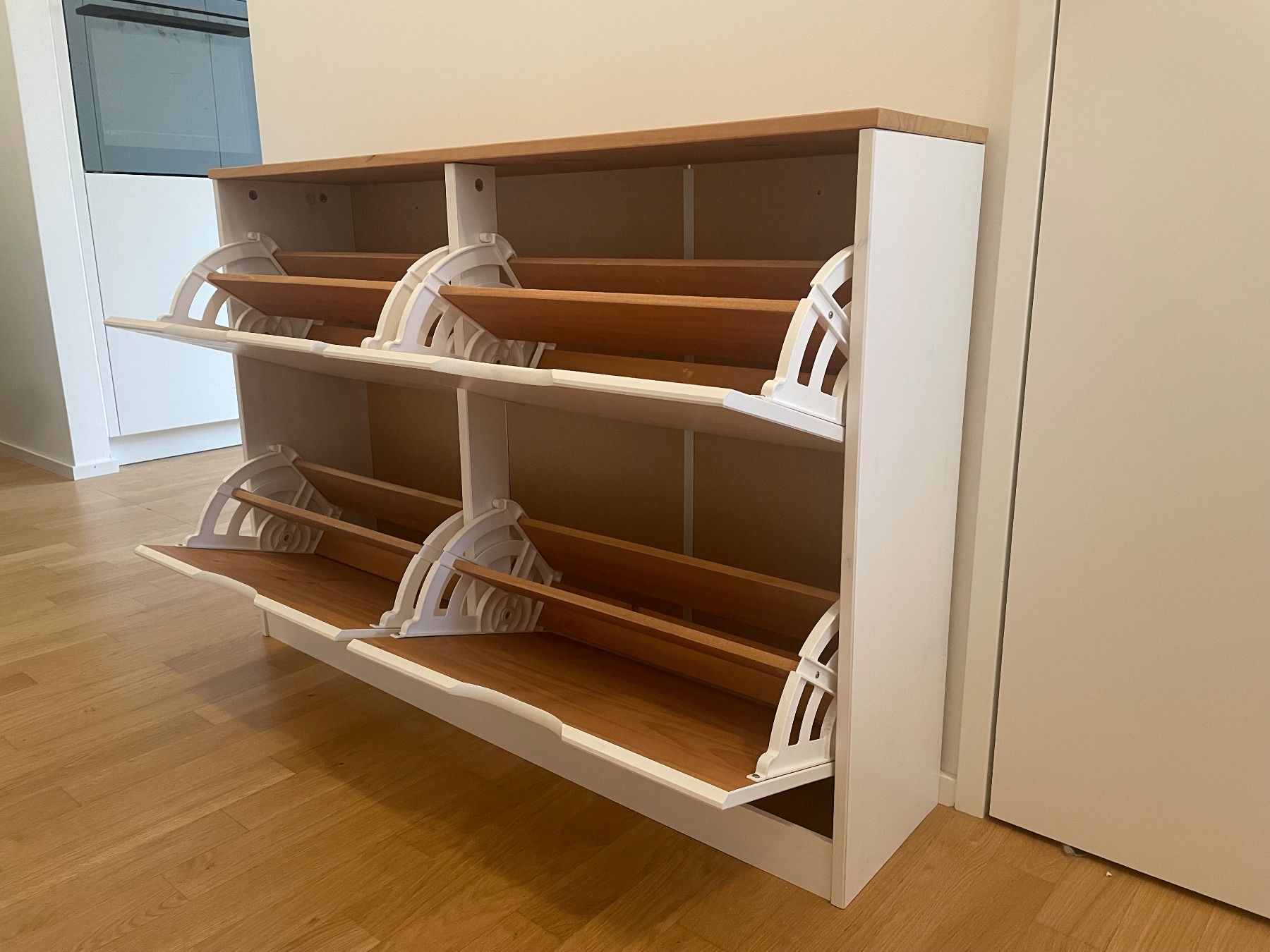 Armadi: Schuhkasten – Usato da Basel venduto da Caniarane 1