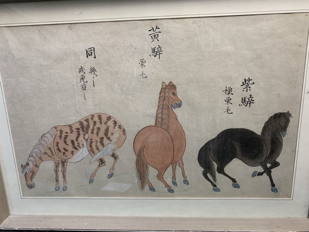 Dipinti: China/Japan Gouache Pferde – Usato da Wolfhalden venduto da SecondAntique 1