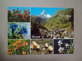 Ak Zermatt mit Matterhorn Wallis