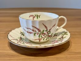 Royal Worcester « Dunrobin » – tasse & soucoupe