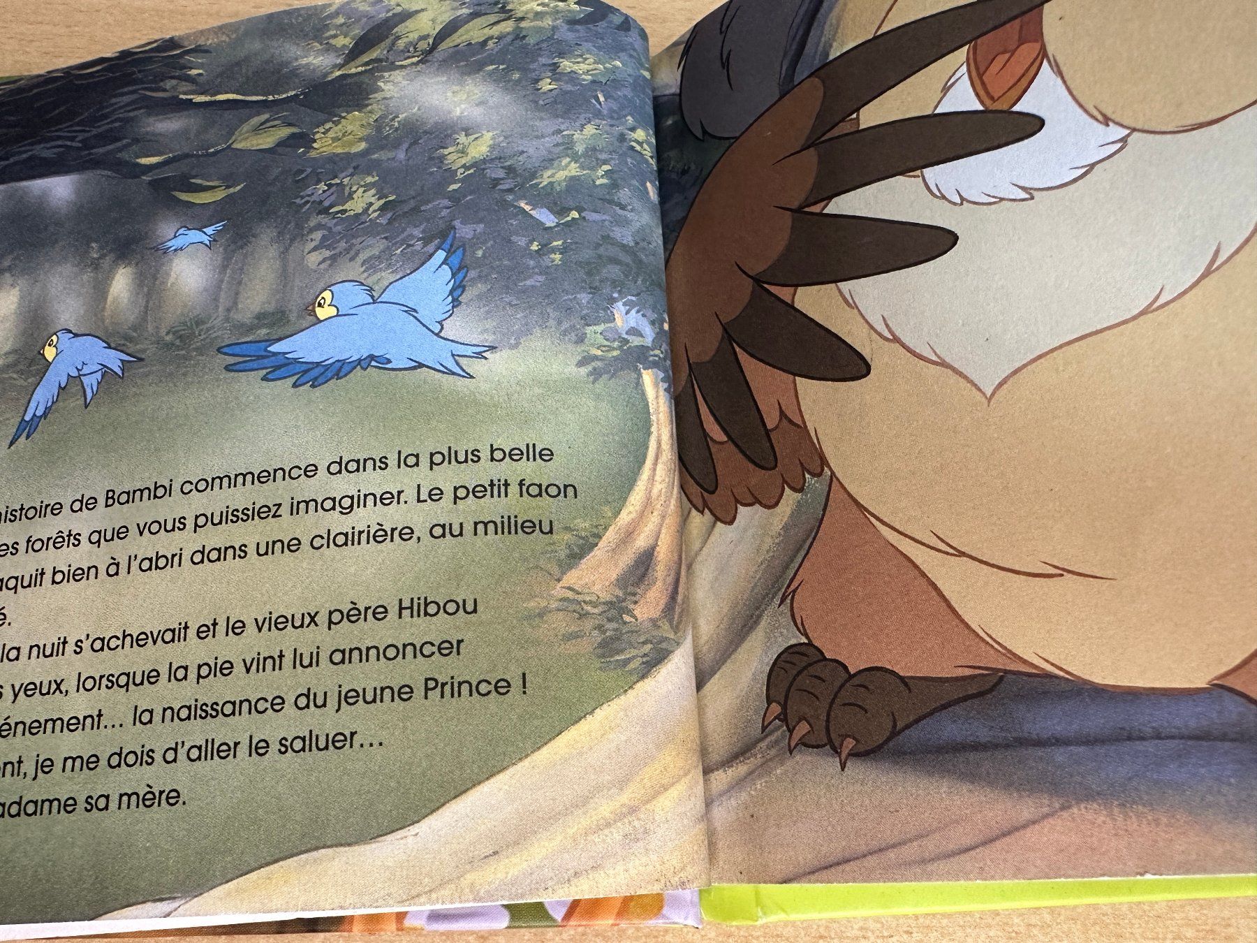 Audiolibri: K9 Bambi – Usato da Rikon im Tösstal venduto da Alpenmutz 2