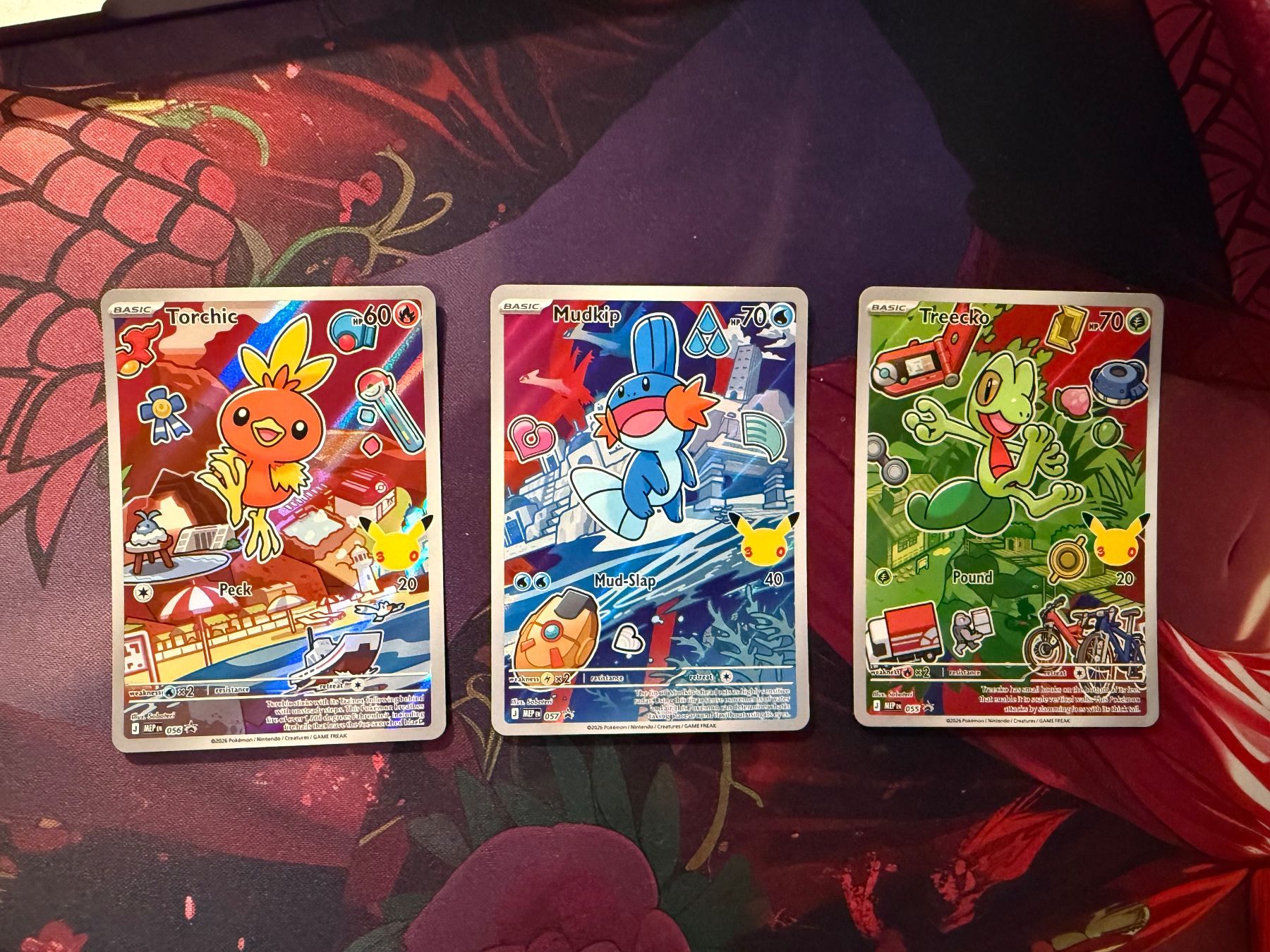 Pokémon Carte collezionabili: First Partner Serie 3 Hoenn Starter Treecko, Mudkip, Torchic – Nuovo (secondo la descrizione) da Oberbüren venduto da wuna123