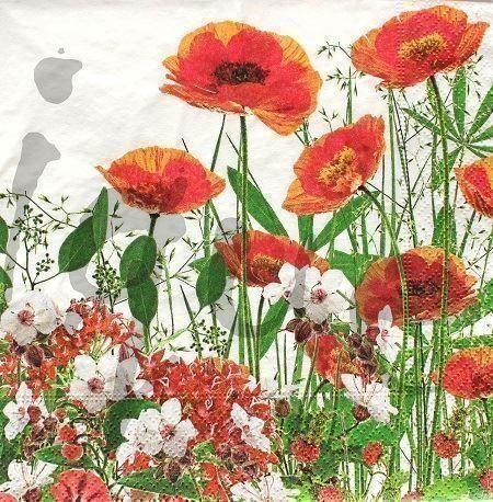 Tovaglioli: Serviette mohn (b243) 3Stk. – Nuovo (secondo la descrizione) da Schlatt TG venduto da kreativ-atelier