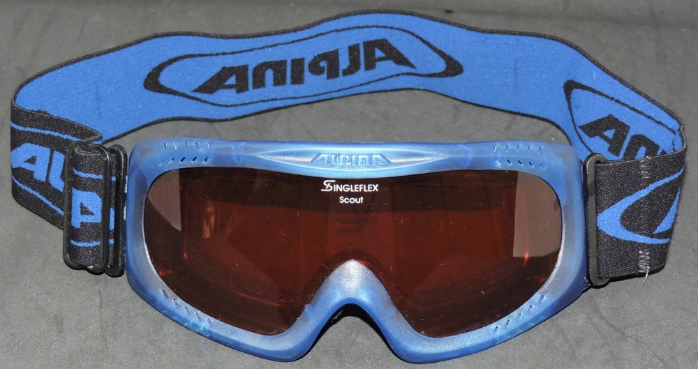 Alpina Masque de ski Enfant Kaufen auf Ricardo