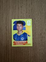 Panini FIFA World Cup 2026, BIH 15