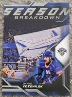 Sportzoo Daniel Voženílek EV Zug Saison Breakdown Playoffs