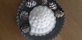 ♡ Schnecke aus Gips ♡  NEU