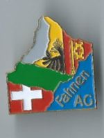 Genf Kantons - Pin