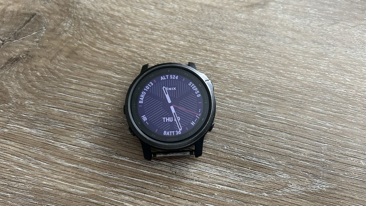 Garmin Smartwatch: Garmin Fenix 6s – Usato da Pfeffikon LU venduto da ckhspm 1