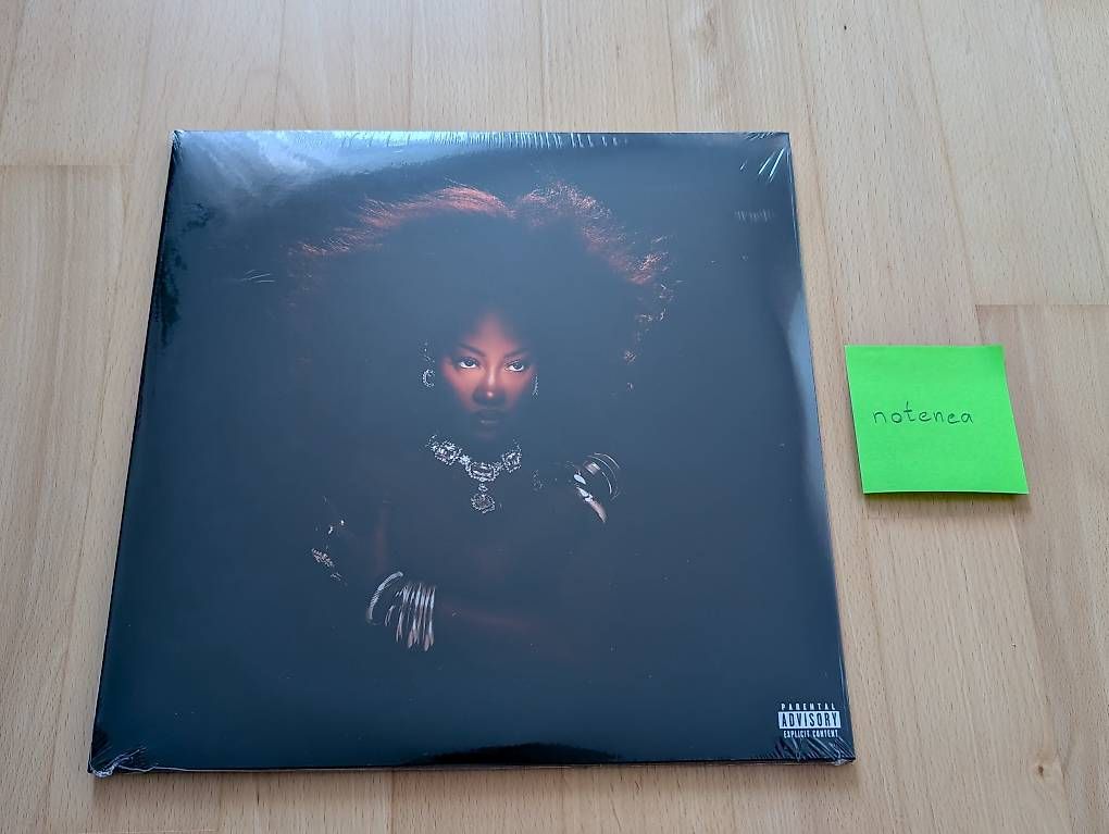 Dischi in vinile: Tems - Born In The Wild (2LP, Album) – Nuovo e nell'imballaggio originale da St. Gallen venduto da notenea
