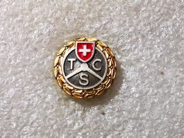 Ansteckpin 50: TCS