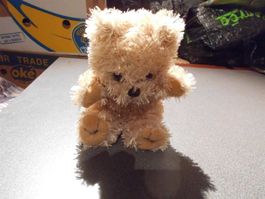 Teddy-Bär hell / sitzend