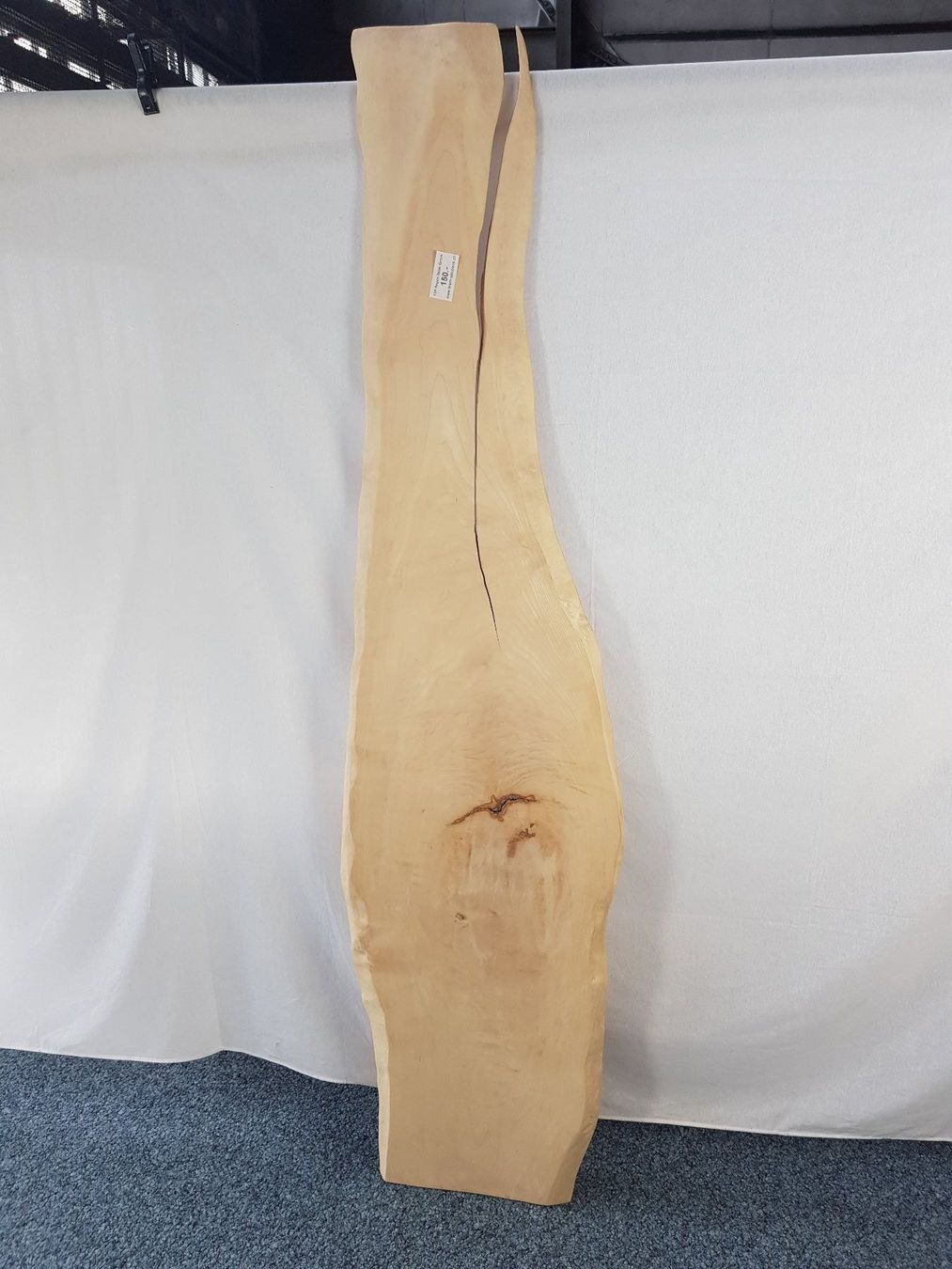 Articoli in legno: Holzplatte – Usato da Münchenstein venduto da tsp01