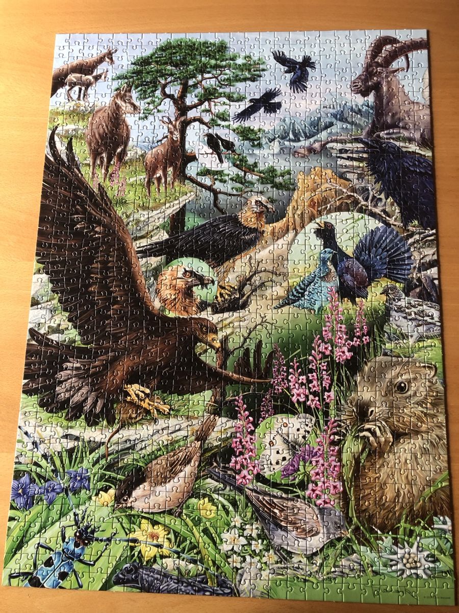Heye Puzzle: Puzzle 1000 Teile – Usato da Balsthal venduto da Katzenfan99 1
