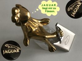 Jaguar Schlüsselanhänger silver-quader