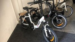 E-FATI Elektro-Fahrrad Kraft trifft auf Schweizer Präzision