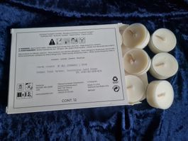 PartyLite - 12 Teelichter Lemongrass+Thyme, Soja, BeWell