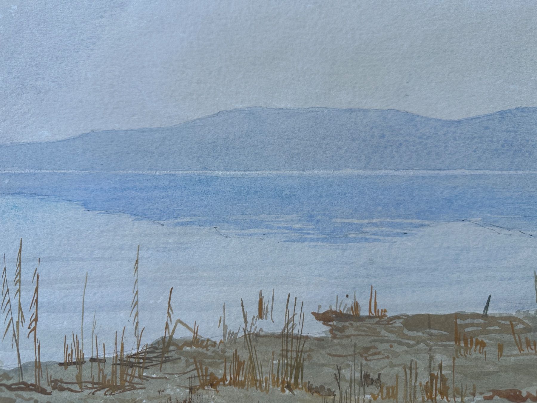 Dipinti: Aquarell von Armin Colombi – Usato da Zürich venduto da frauflufelberg 2