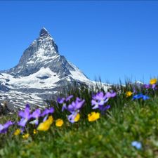 Profile image of SwissEnn