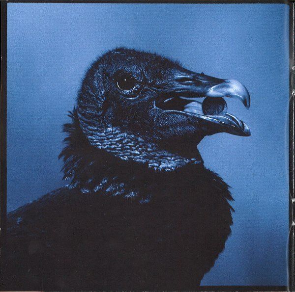 CD: Jack White – Blunderbuss - Vergriffen! - a – Usato da Brittnau venduto da Zibu 5