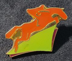 BB420 - Pin Pferd Pferde Sport Springreiten