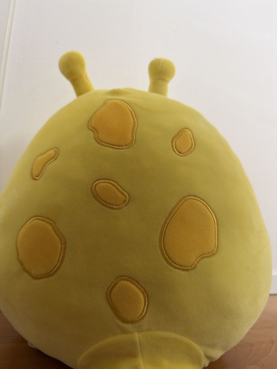 Squishmallows Giocattoli: Süsses Squishmallow Stofftier - Gewaschen! – Usato da Fällanden venduto da Melinazh 1