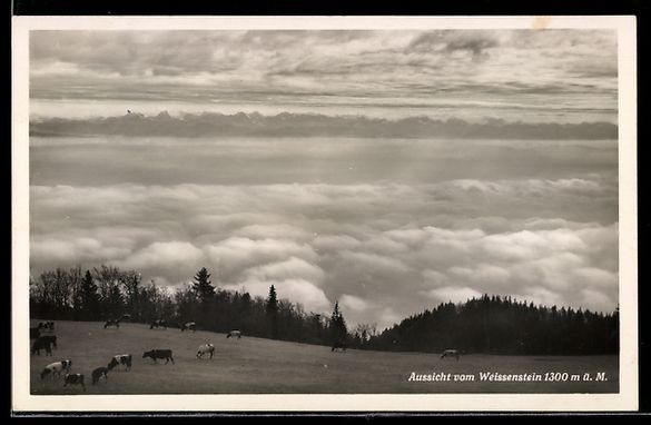 Ansichtskarten: AK Weissenstein, Aussicht vom Weissenstein – Gebraucht aus Berlin von bartko-reher