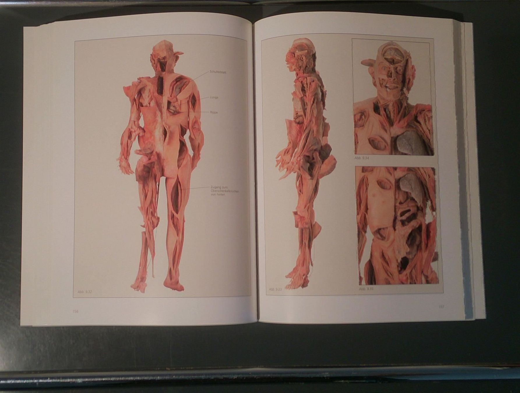 Libri: Körperwelten-Katalog  Ausstellung 1999 – Usato da Dübendorf venduto da Povo 5