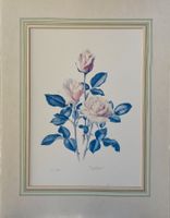 Trechslin Anne - Marie  * Rosen *