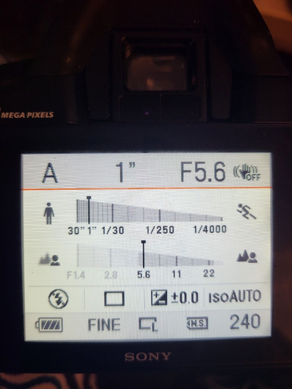 Sony Fotocamera: Sony α230 DSLR + SIGMA Objektiv – Difettoso da Lyss venduto da Solisombre 4