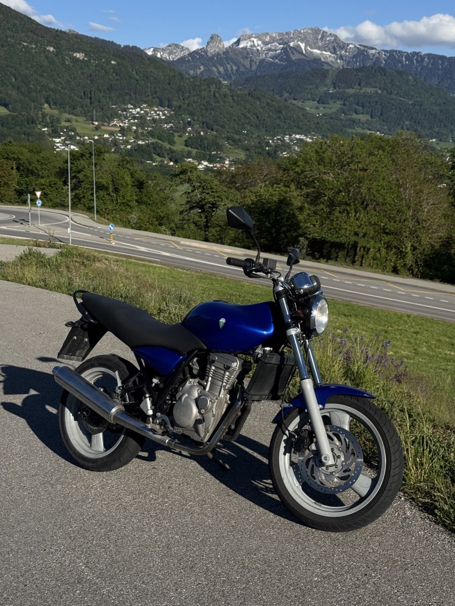 Mz (Muz) Strada: MZ RT125 2008 11kw – Usato da Grattavache venduto da BCDN 1