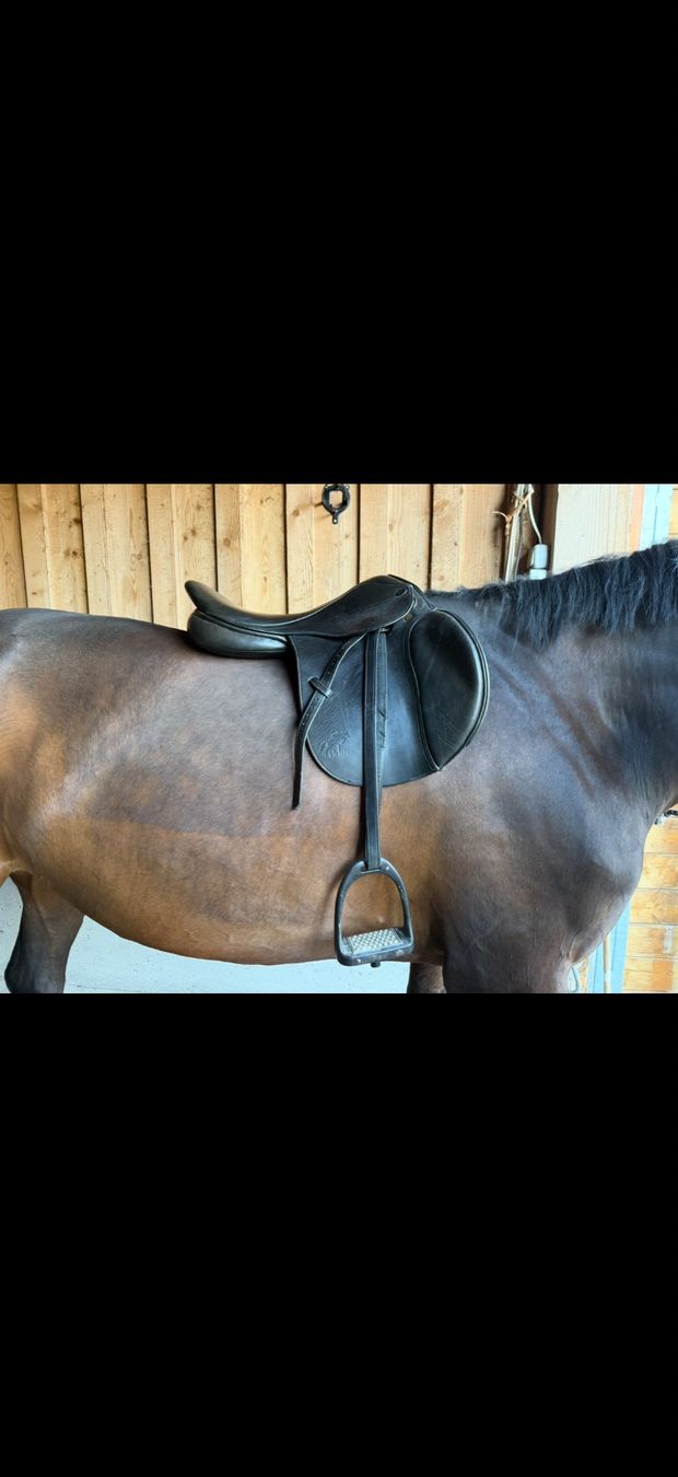 Selle & Accessori: VS Sattel 17.5" – Usato da Rebstein venduto da kuh_ym8x