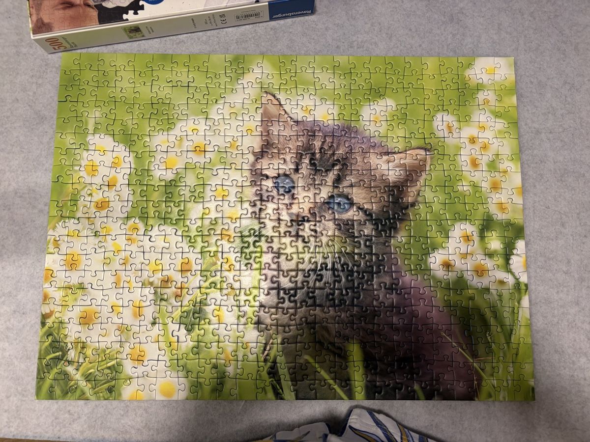Ravensburger Puzzle: Puzzle Katze 500 Teile – Usato da Laupersdorf venduto da eliza23