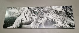 Wunderschönes Tiger-Bild – 156 cm x 52 cm 🐅🎨