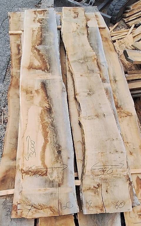 Articoli in legno: Eichenbretter 60mm / 6 Stück / 3m / Lufttrocken – Usato da Waldkirch venduto da bauprofi87 1