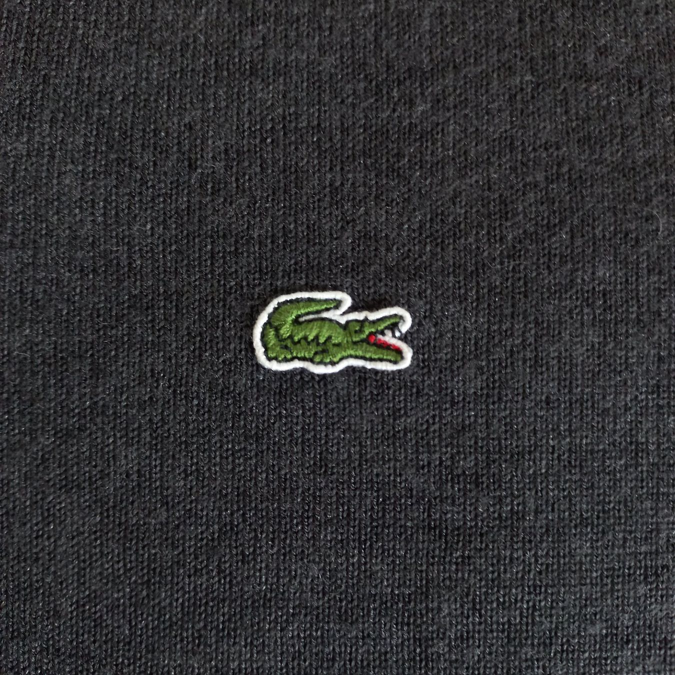 Lacoste Maglioni & Felpe: Lacoste Sweat (M) – Usato da Chamoson venduto da Sapoloshop 1