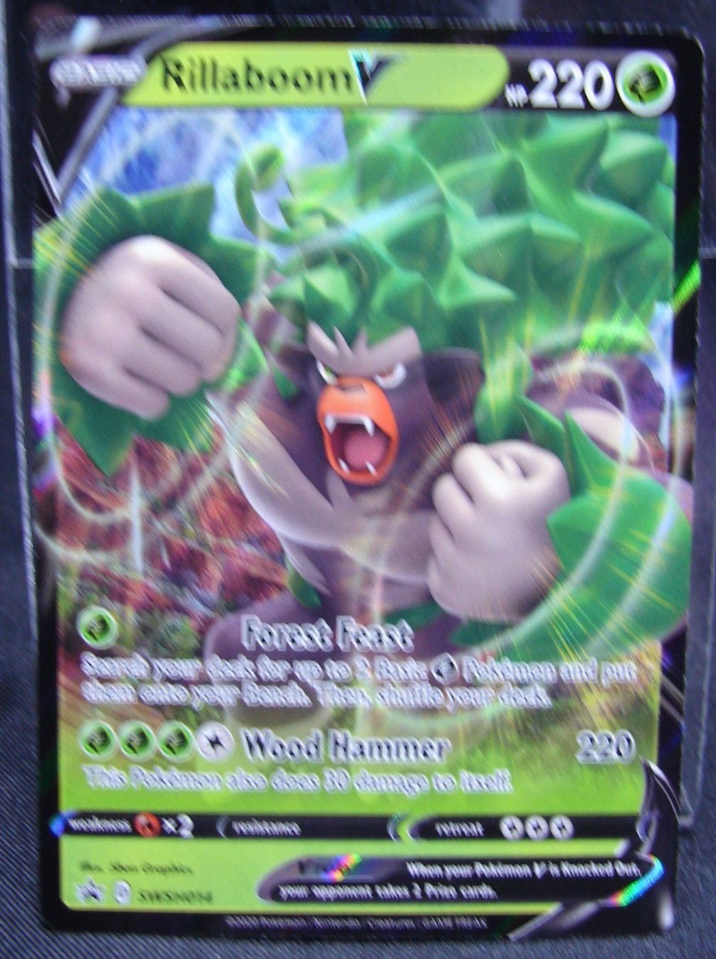 Pokémon Carte collezionabili: Rillaboom V - Promo - Mint           /34 – Nuovo (secondo la descrizione) da Rümlang venduto da coh_87ww 1