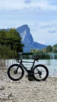 BMC Timemachine 01 Road ONE | Dura-Ace Di2 | Gr. 51