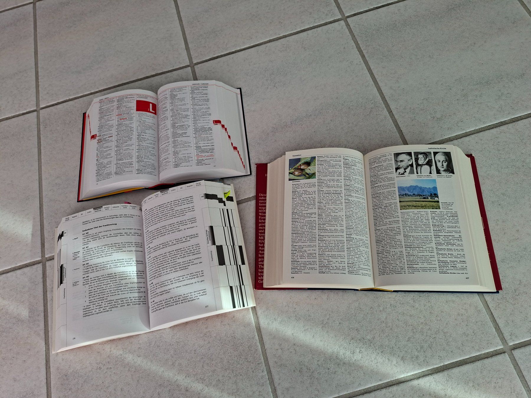 Libri: 3 Bücher – Usato da Schwarzenbach SG venduto da mel_s6jj 3