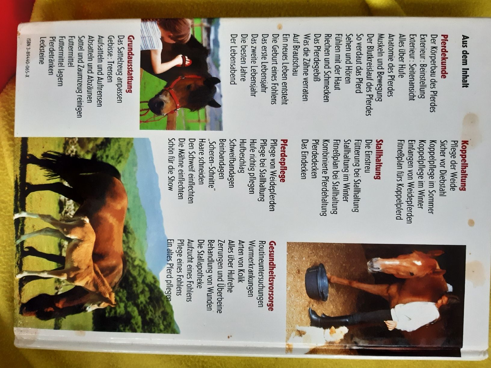 Libri: handbuch pferd und pony – Nuovo (secondo la descrizione) da Nebikon venduto da Haidihooo 1