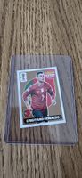 Panini Extra Sticker 