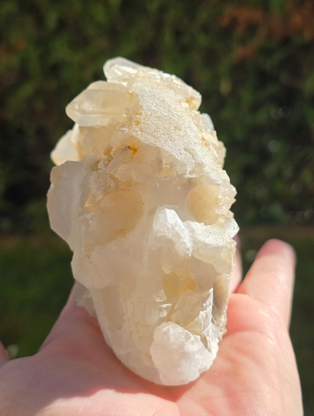 Minerali & Pietre curative: Quarz Schädel 495g – Nuovo e nell'imballaggio originale da Matzingen venduto da Shay_Crystalz 2