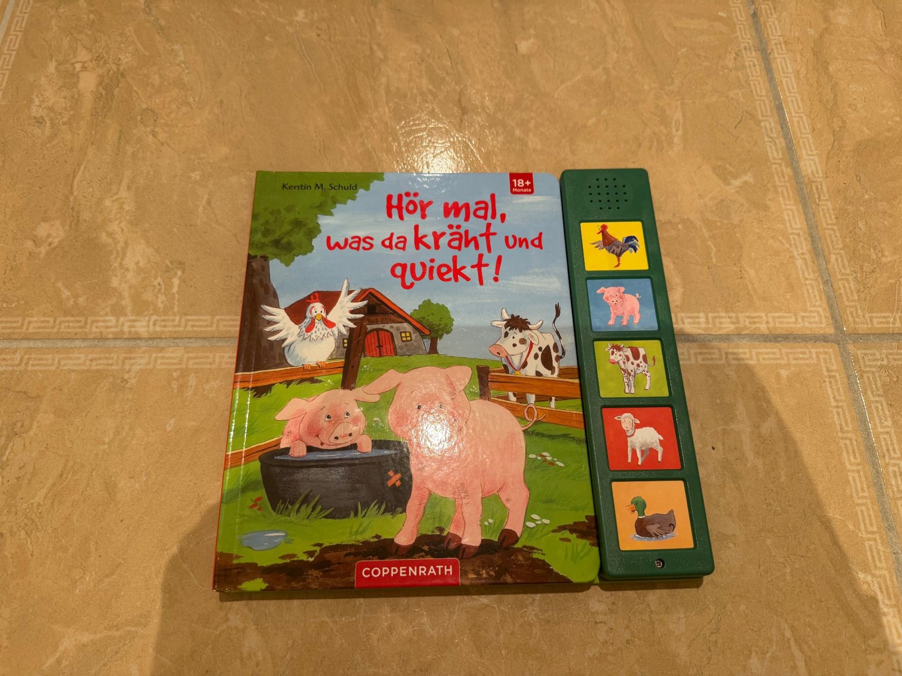 Libri: Buch und Puzzle ab 18 Mt, NP 50 Fr – Nuovo (secondo la descrizione) da Klingnau venduto da Markus14 3