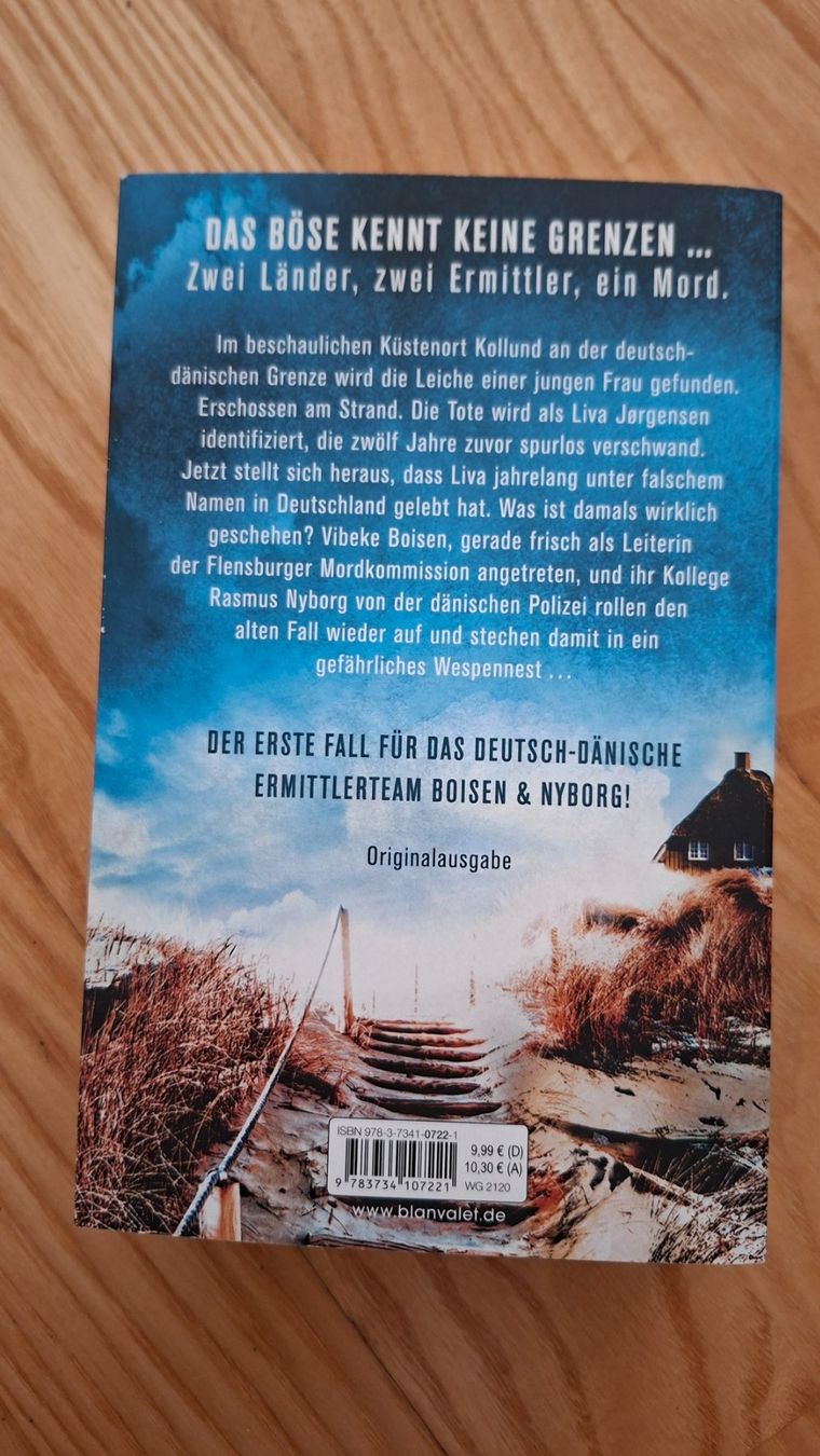 Libri: Anette Hinrichs und Stephen King - 4 Kriminalromane – Usato da Oberentfelden venduto da Affra01 5