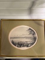 Antike Grafik "Der Bodensee" um 1870, gerahmt, Rarität!