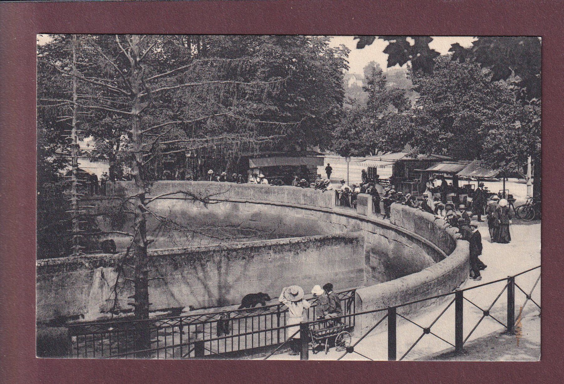 Cartes postales: BERN - Bärengraben – D'occasion à Pully par nicecards