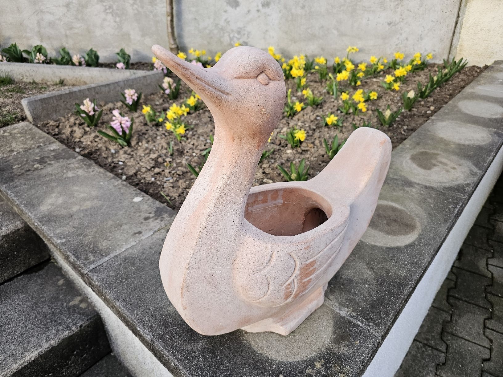 Vasi per fiori: Blumentopf Terracotta Schwan – Usato da Villnachern venduto da hasta08 3