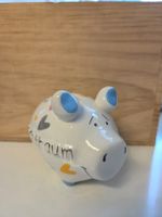 Sparschwein "Wunschtraum"