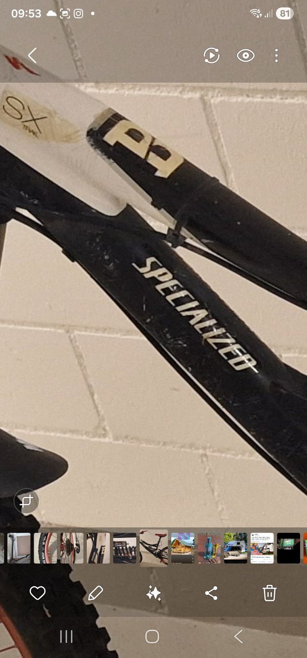 Specialized Biciclette: Mautain Bike Speciallzed – Usato da unterägeri venduto da Cfmotor 5