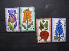 Berlin 1976 Gartenblumen